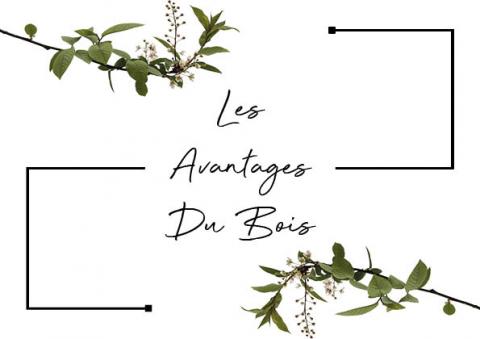 Les avantages du bois : quelles sont les 